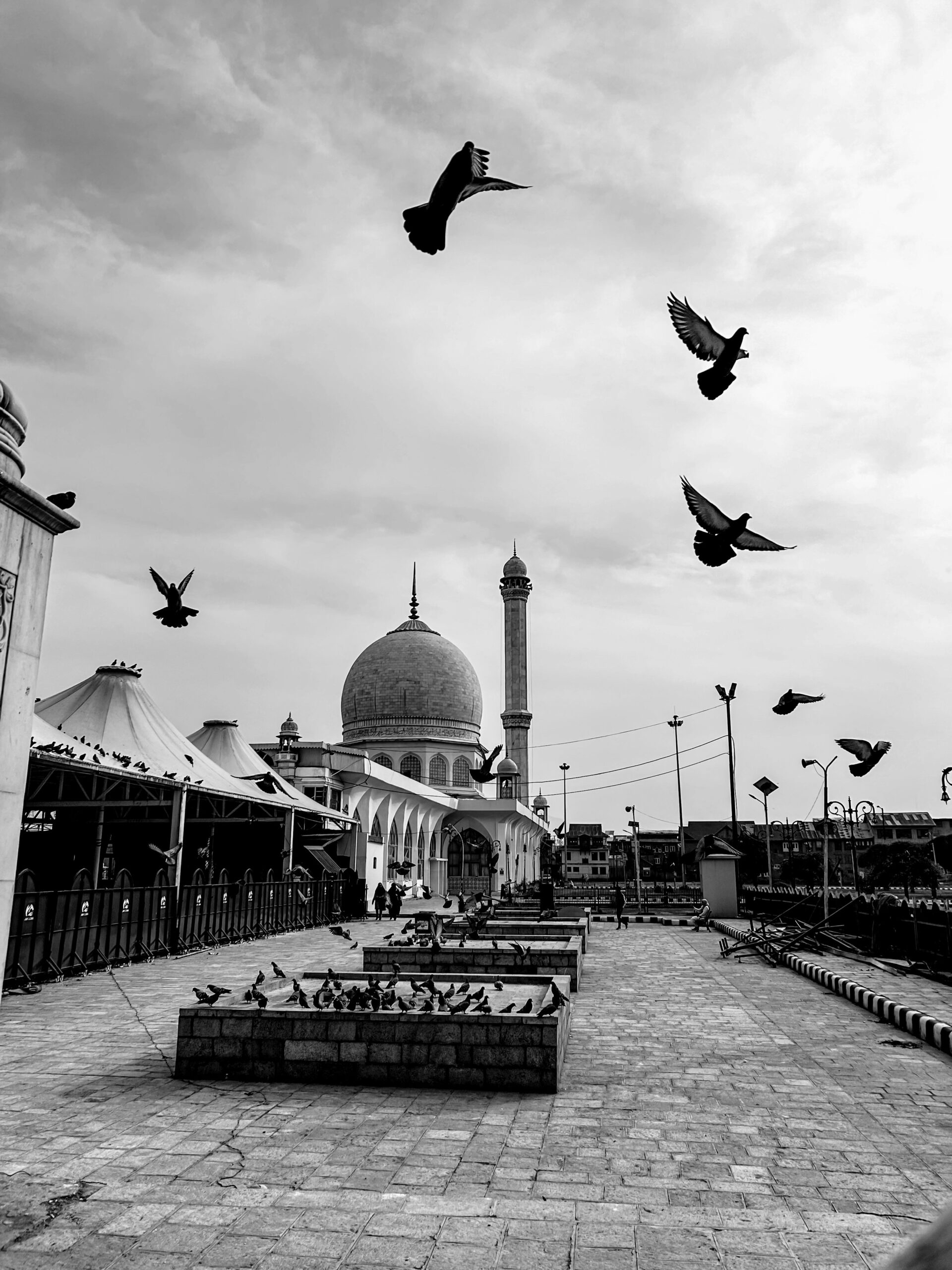 haziq farooqi nhk0enkz ha unsplash