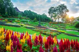 garden flowers mae fah luang garden locate doi tung chiang rai thailand 335224 967