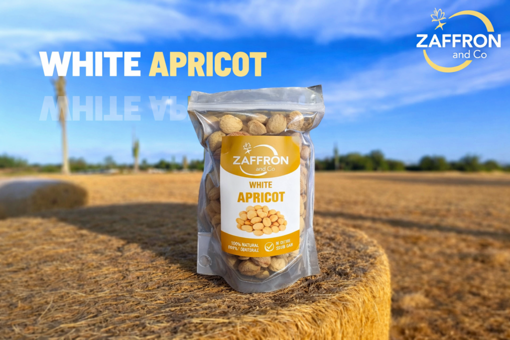 chatgpt image mar 1, 2026, 11 16 12 pm